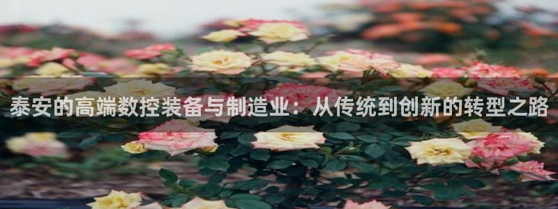天辰娱乐电话