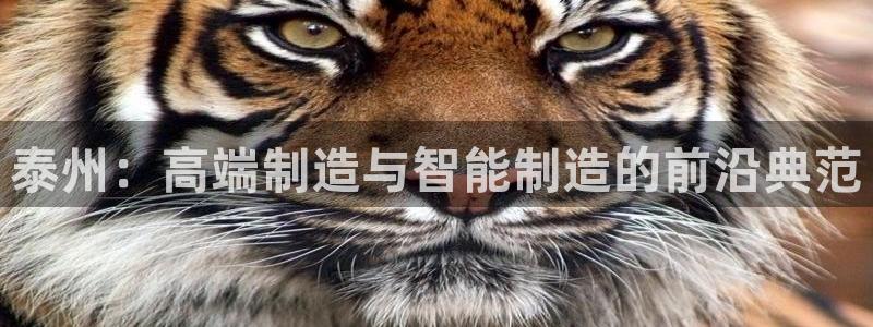 天辰娱乐2