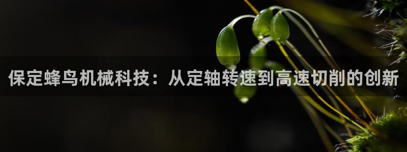 天辰彩票娱乐