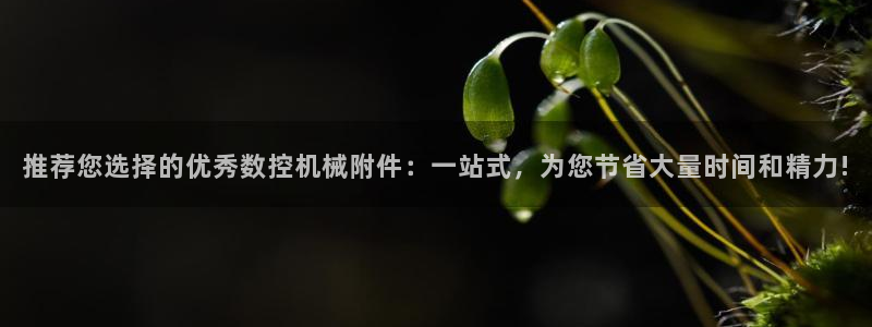 天辰娱乐平台地址在哪里：推荐您选择的优秀数控机械附件：一站式，为您节省大量时间和精力!
