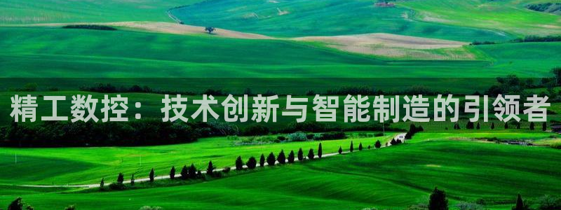 天辰娱乐彩票：精工数控：技术创新与智能制造的引领者