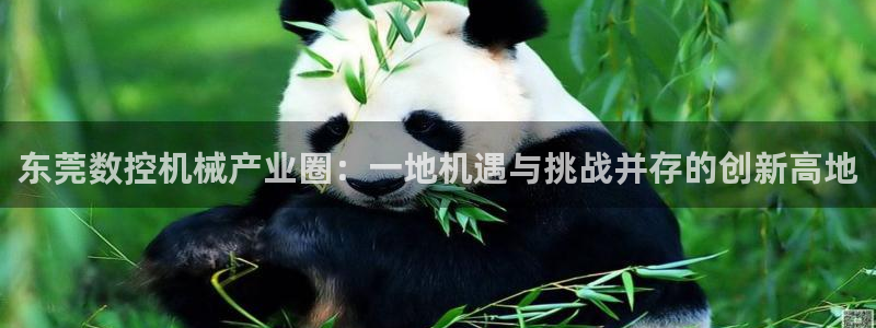天辰娱乐APP下载