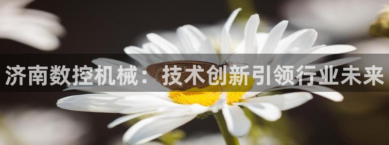 南京天辰娱乐