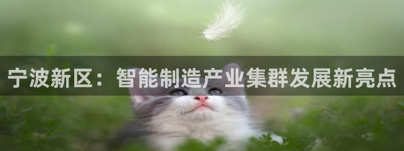 天辰 娱乐：宁波新区：智能制造产业集群发展新亮点