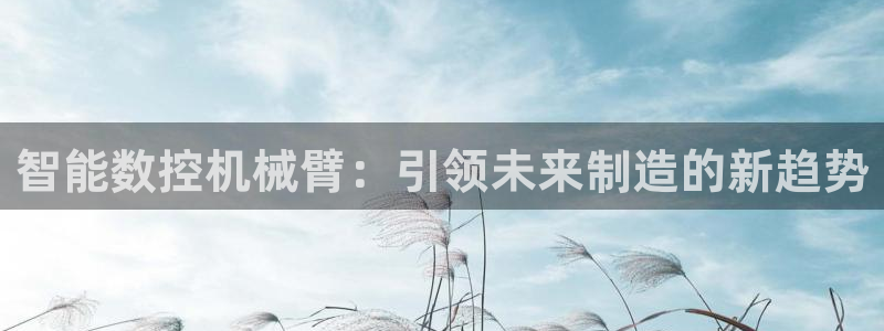 天辰娱乐代理