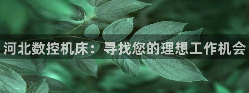 广东天辰娱乐