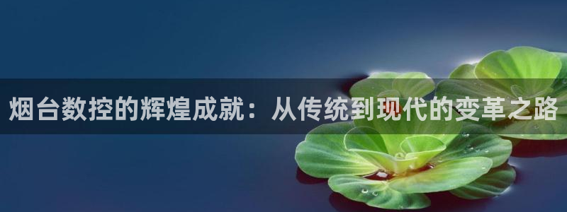 天辰娱乐1956