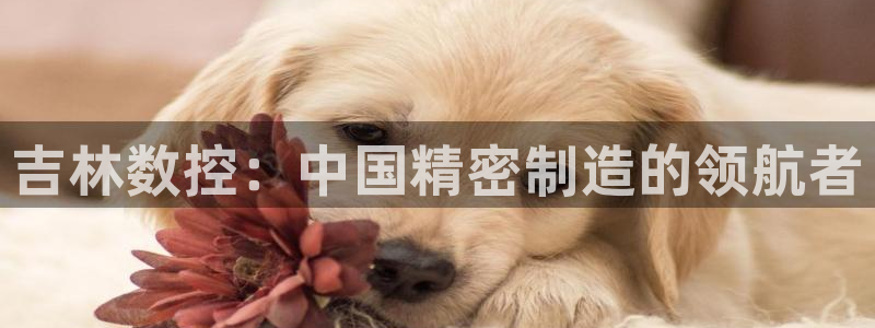 天辰娱乐下载地址：吉林数控：中国精密制造的领航者